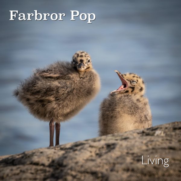 Living by Farbror Pop aka Uncle Pop